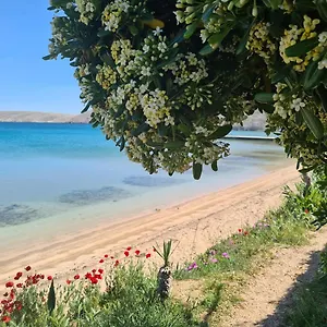 https://apartments-simurina.hotelinzadar.com